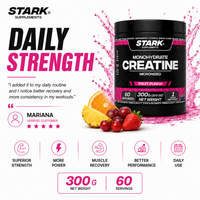 STARK MONOHYDRATE CREATINE FRUIT PUNCH