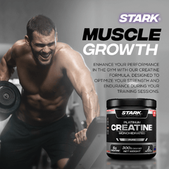 (x24) CREATINE STARK